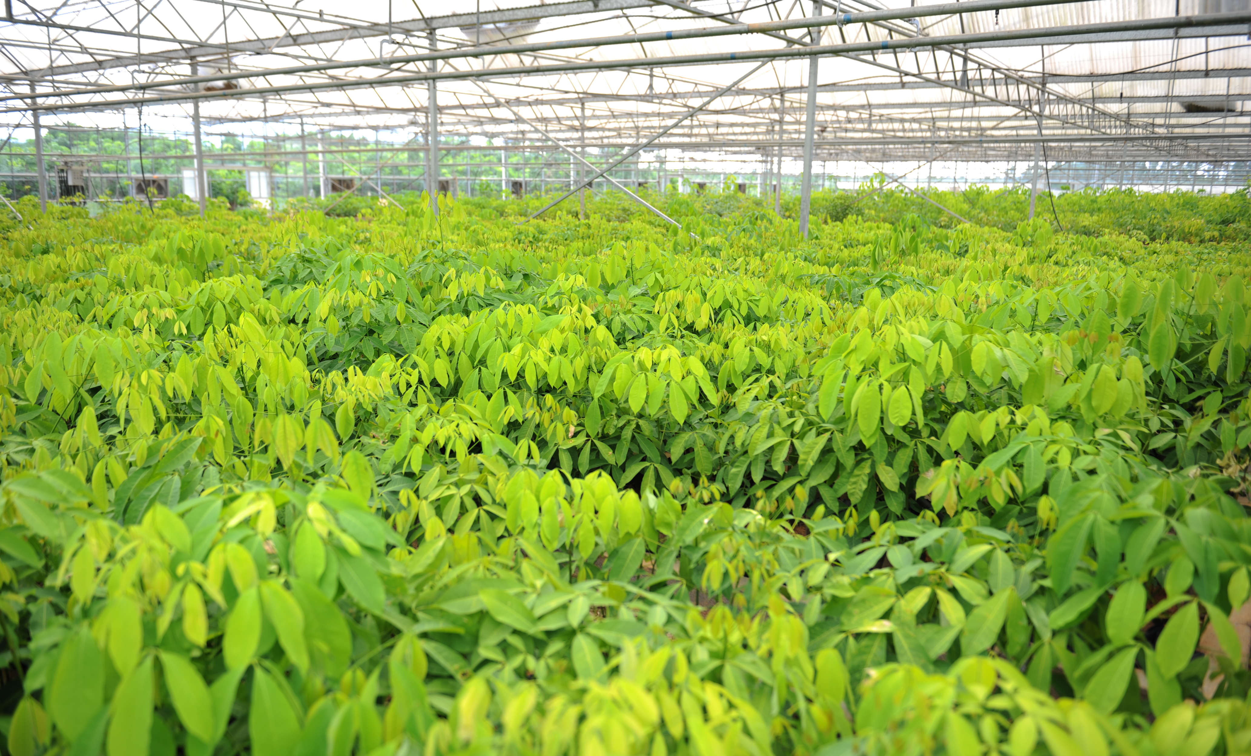 1744158773468007821.jpg 1744158773468007821.jpg