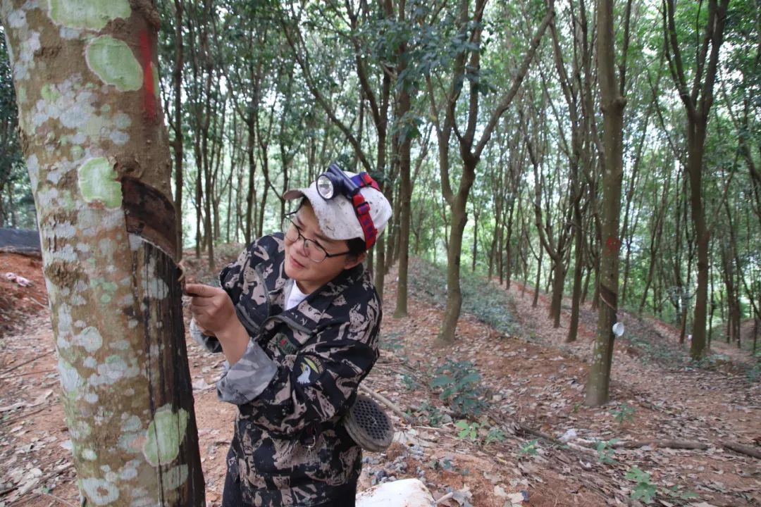 1747637433373070168.jpg 1747637433373070168.jpg