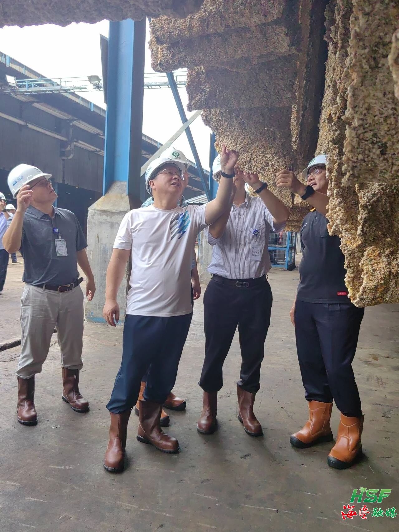 包洪文一行調(diào)研合盛農(nóng)業(yè)SGO加工廠。